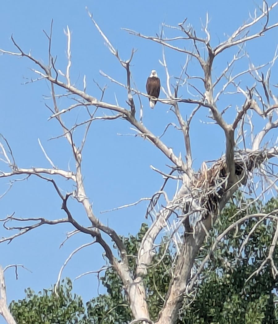 Plains Conservation Center (Visitor Center) 5